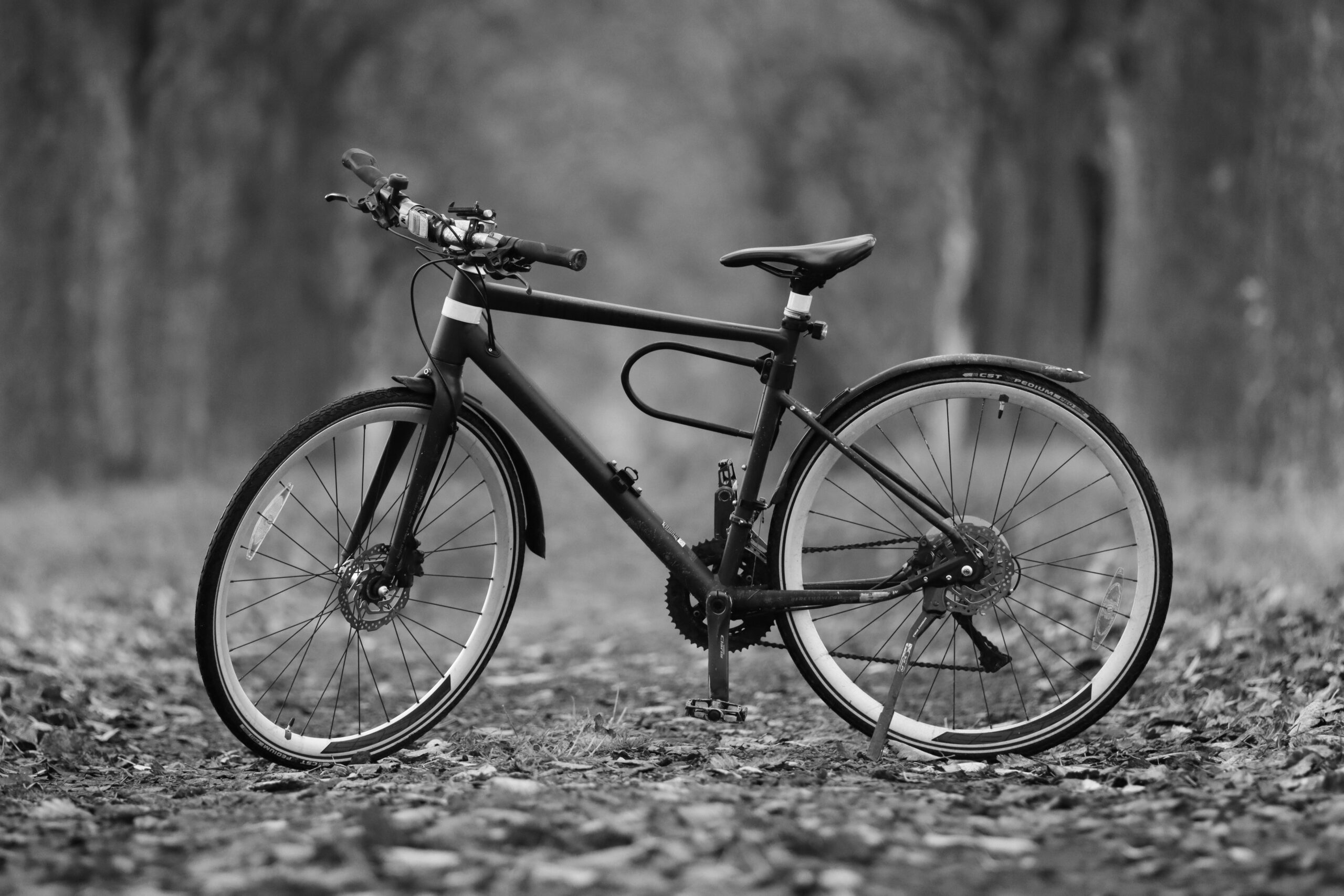 A solitary bicycle stands amidst fallen leaves on a serene forest path.